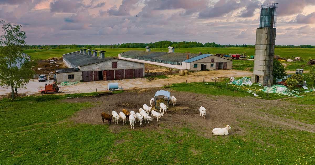 Sustainability Starts Right Here at Home with Every Choice