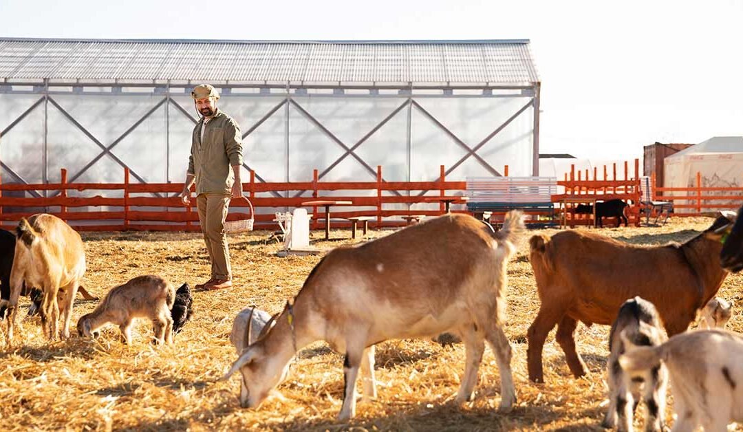 Laurel Ridge Organics